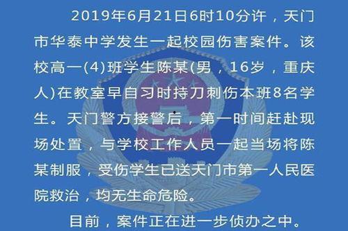最新案件爆料新闻内容有哪些,揭秘惊心动魄的案情转折与幕后真相